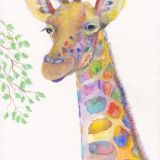Giraffe-Sala-Koelner-Zoo-4web
