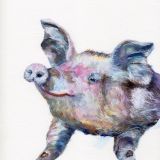 Schwein website